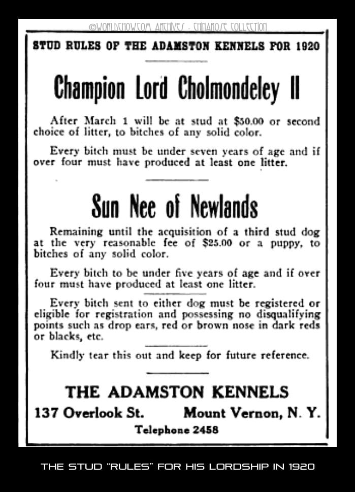 Stud ad for Lord Cholmondeley 1920