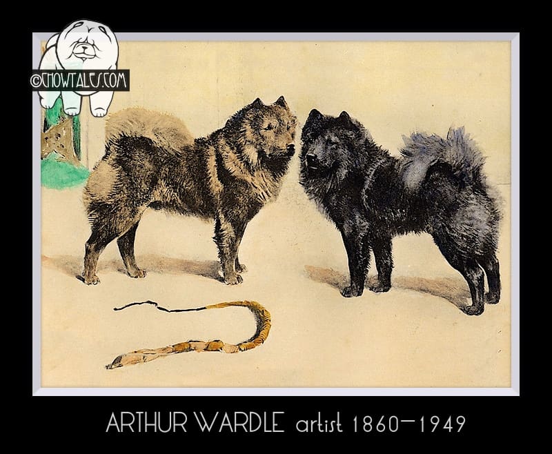 English print Arthur Wardle