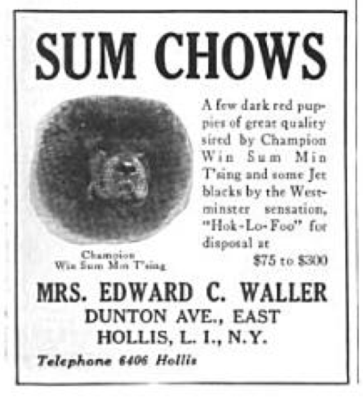 CH. WIN SUM MIN'TSING