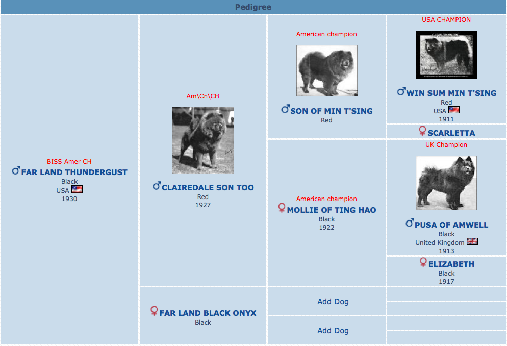 FAR LAND THUNDERGUST PEDIGREE