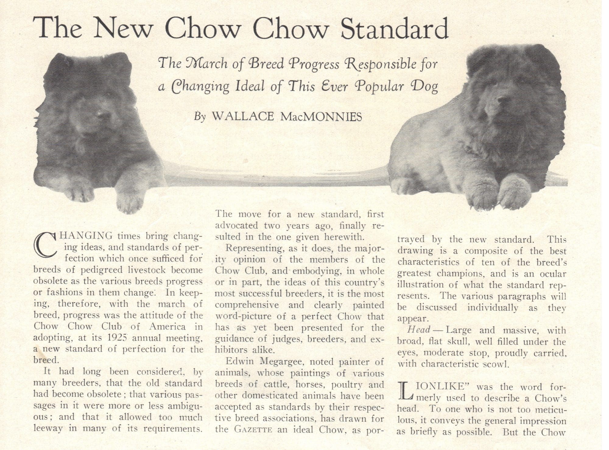 ARTICLE 1925 The New Chow Standard AKC Gazette Wallace