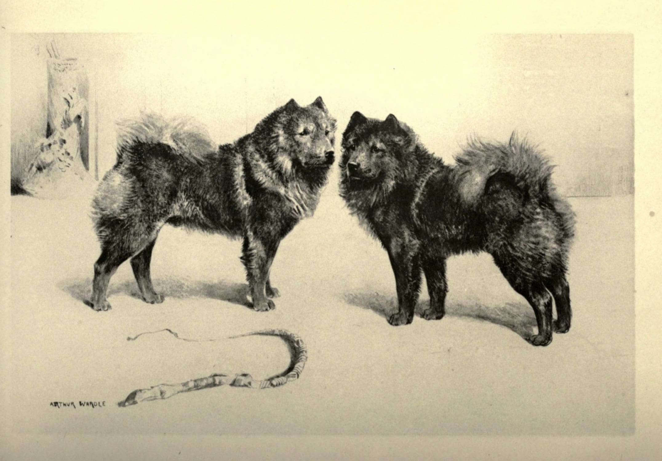 BOOK- 1899 MODERN DOGS by Rawdon B. Lee Non Sporting Edition